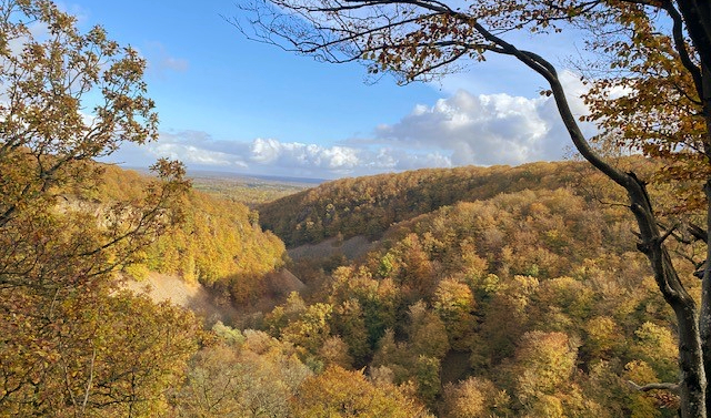 Beautiful autumn forest valley at Söderåsen